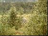2003_0308_082301AA.jpg